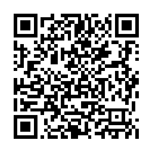 包括哪些隐藏起来的强横势力终于意识到了不对二维码生成