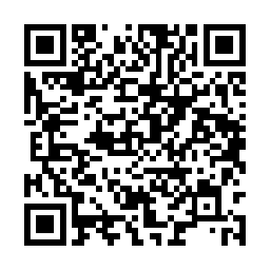 包括奴兵在内的所有人都发到了一枚很可疑的药片二维码生成