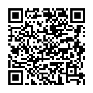 包括家里仆妇的孩子们一人也得了一个小金裸子二维码生成