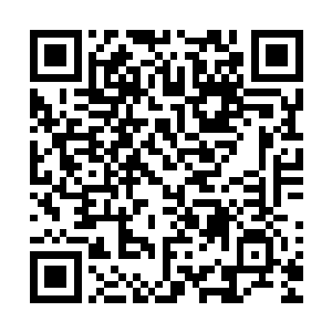 包括对方在半空中的高度……各项信息如激流般在脑海中飞旋二维码生成