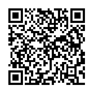 包括小红楼里监狱长和那些社会名流都被眼前的一幕惊呆了二维码生成