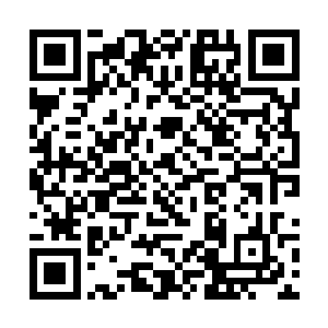 包括廖无用在内的赛场上的修士都微微地皱起了眉头二维码生成