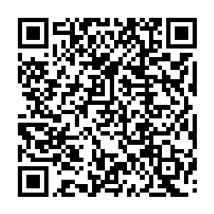 包括张铁的三个儿子和张铁老哥的几个孩子在风苍梧这里确学到了很多的东西二维码生成