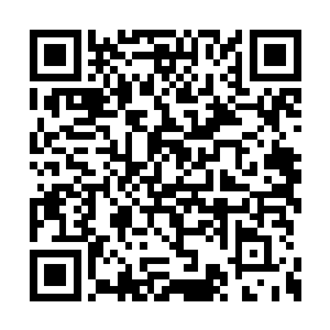 包括当年从回春天人洞府中得到了丹药消耗干净二维码生成