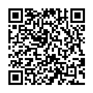 包括我――我们随时都做好了为保护你而牺牲的准备二维码生成