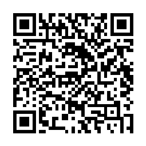 包括战斧巡航导弹战术型战斧巡航导弹对地型标准导弹二维码生成