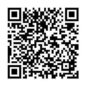 包括昆仑秘境和盘古地宫中很多盘古族精英战士的手腕内侧二维码生成