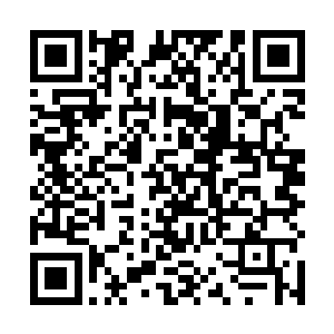 包括最坏的情况――即白河谷地被蛮荒野兽围攻的情况二维码生成
