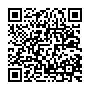 包括楚旬等人在内的二十多个参会者也一一消失在了那沼泽之中二维码生成