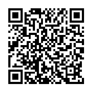包括此刻滞留在这里所有的碳基生命和能量生命二维码生成