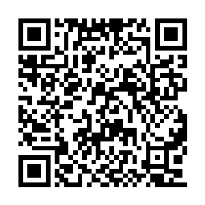 包括特级联邦英雄李耀在内的无数强者和精英们二维码生成