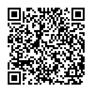 包括狗子在内都是惊诧万分地看着那个突然消失的男子远去的方向二维码生成