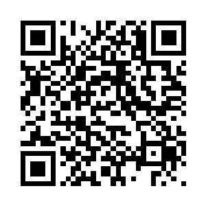 包括简约在内视线都落在张潇晗脸上二维码生成