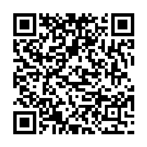 包括紫焱这样准9阶强者都如同被上了一层厚重的枷锁一般二维码生成