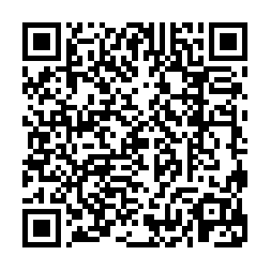 包括这版电视剧中编剧针对白飞飞所增添的有利于形象立体化的部分戏份二维码生成