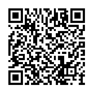 包括那一箭究竟是从什么角度射入老虎的脑壳里二维码生成