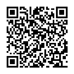 包括陈驼子更是做好了离开竹记后就去灭铁天鹰满门二维码生成