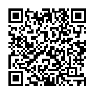 包括鸿基集团在内的不少企业负责人都相当认可这个家伙二维码生成
