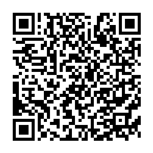 包括龙傲天在内的所有灵兽都眯着眼睛期待着火麒麟的下一步动作二维码生成