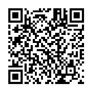 包括龙宝等人每天也都是脑袋有一半已经不属于自己了二维码生成