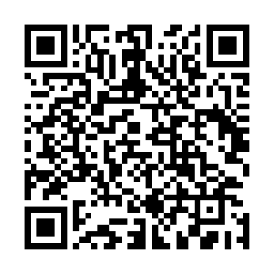 包泽涵这样的角色都或多或少的存在着一些缺陷和不稳定性二维码生成