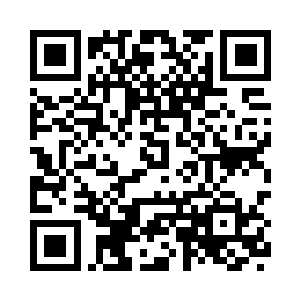 包的她就像一只圆滚滚的蚕蛹似的二维码生成