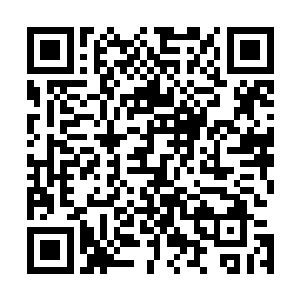 包裹住昆墟圣殿的空间法则足以将所有仙王以下的人给绞杀二维码生成