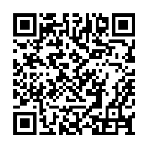 包裹在它外表的那一层外壳似乎也在逐步的退化二维码生成