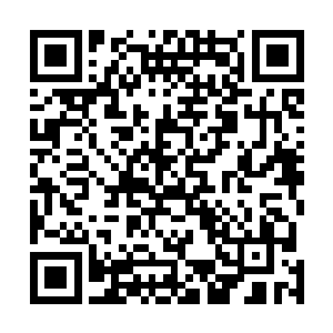 包裹在黑色触手当中的贝鲁塞巴布只是说了一个词语出来二维码生成