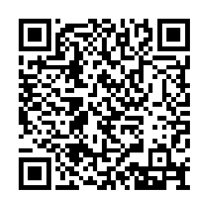 包裹浓郁的轮回之力一拳狠狠的砸在了天照身上二维码生成