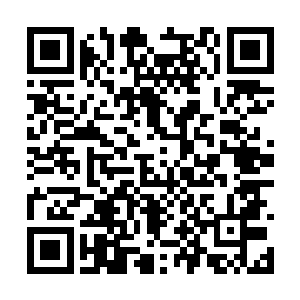 匕首齐根钉到了迪亚菲斯的肩胛骨接近心脏的地方二维码生成