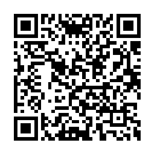 化为一只体型比岩浆之龟大上近千倍的岩浆巨龟二维码生成