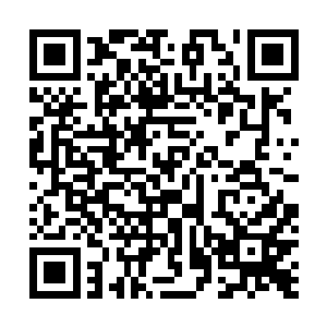 化为一根根血丝链接在了那二十四根炼雀柱和雀皇殿之上二维码生成