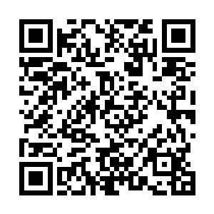 化为一段段的枝干掉落在地上……即便这些藤蔓异常坚硬二维码生成