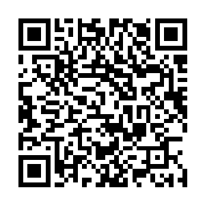 化为一股烟雾状态的元神之力从剑尘的眉心进入他的意识海二维码生成