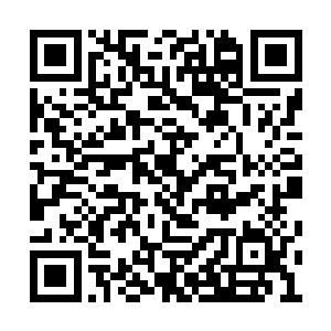 化为一股股飓风和爆鸣声朝着四面八方席卷而去二维码生成