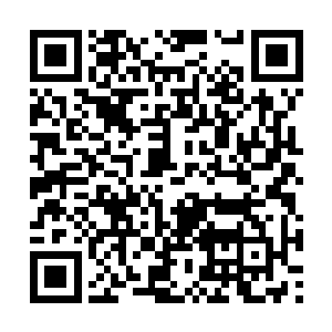 化为巨大猛兽的烈焰被剑尘这一道剑气直接给击溃二维码生成