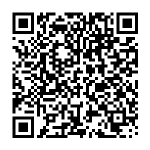 化为无数细小的碎片形成密集的白色雨点以闪电般的速速射向那三名天空圣师二维码生成