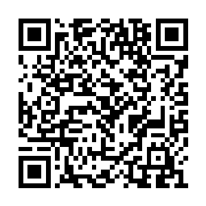 化云宗失踪多年的掌教印竟然在紫华洞府第八殿二维码生成