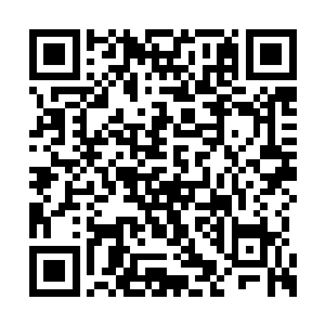 化作一片焚烧星空的火海将星焰魔狮的身躯覆盖二维码生成