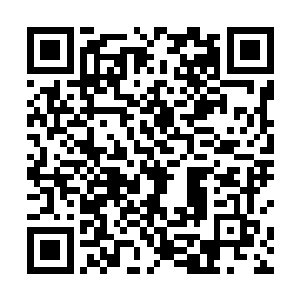 化作一道流光的直接朝着灵墟药谷禁地的方向急遁而去二维码生成