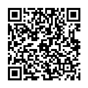 化妆小姐是因为什么一下子就变身成了陆卿的粉儿二维码生成