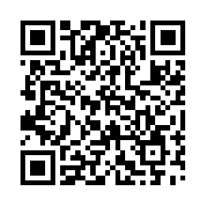 化形境一重便能够战胜化形境四重的武者二维码生成