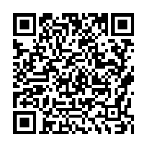 化成最纯粹的能量抵抗着来自山河社稷图的吞食二维码生成