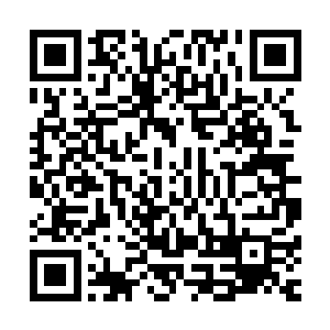 化身为星球巨人的盖亚居然就像是那海浪面前的坚硬礁石一样二维码生成