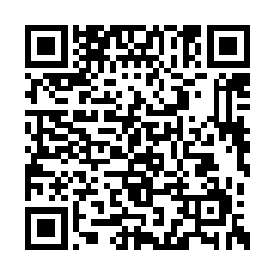 化龙术在这里居然无法使用…任他如何调动元气二维码生成