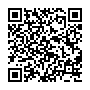 北云九子的老九想要将一切全都揽在自己的身上二维码生成