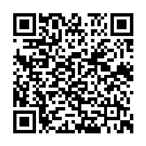 北兵马司胡同里的那个小院重新种了一株海棠树二维码生成