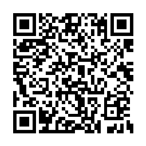 北冥世家的大部分公司已经开始正常的运营起来二维码生成