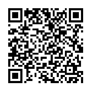 北冥家族召集大家到这里来主要是因为一件事情二维码生成